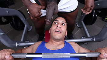 Gaywire - Aaron Trainer & Leo Silva Bumping Uglis In The Gym free video